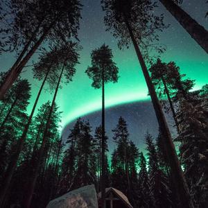 困困兔自慰网站入口大全
