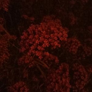 困困兔自慰网站入口大全
